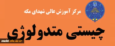 به مناسبت هفته پژوهش و فنآوری برگزار می شود:

کارگاه «چیستی متدولوژی»