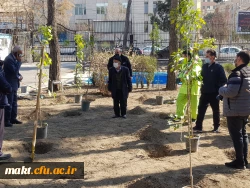 گزارش تصویری کاشت مراسم روز درختکاری03