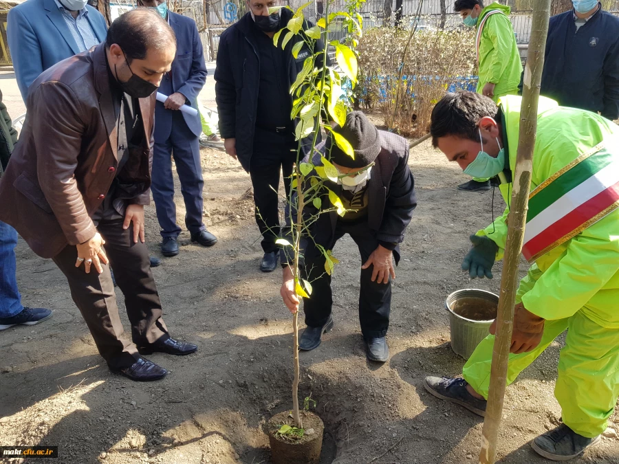 گزارش تصویری کاشت مراسم روز درختکاری04
