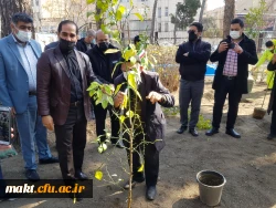 گزارش تصویری کاشت مراسم روز درختکاری05