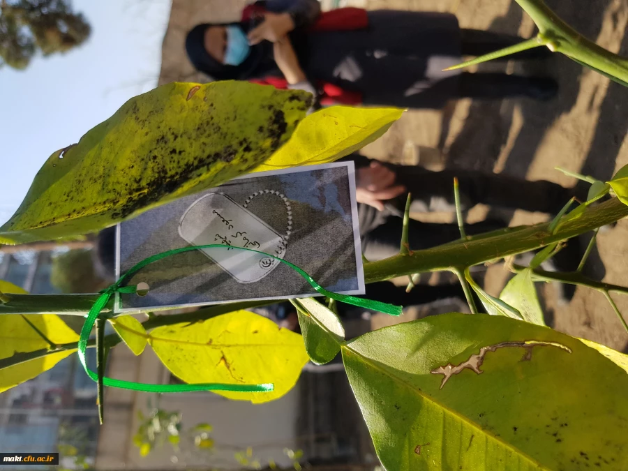 گزارش تصویری کاشت مراسم روز درختکاری06