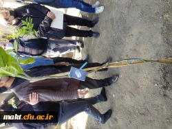 گزارش تصویری کاشت مراسم روز درختکاری07