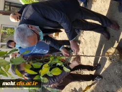 گزارش تصویری کاشت مراسم روز درختکاری08