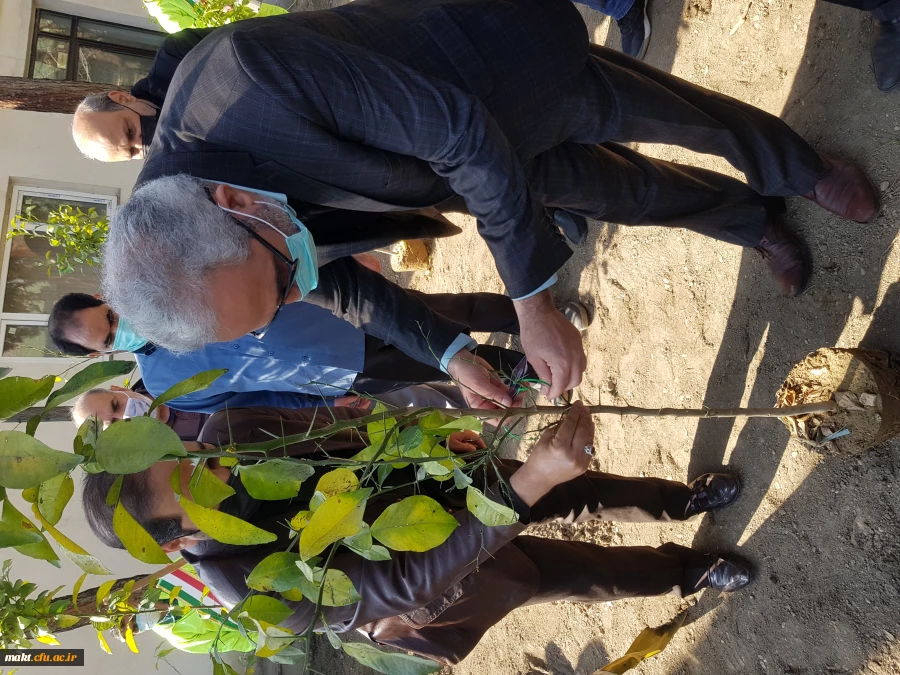 گزارش تصویری کاشت مراسم روز درختکاری08