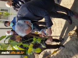 گزارش تصویری کاشت مراسم روز درختکاری09