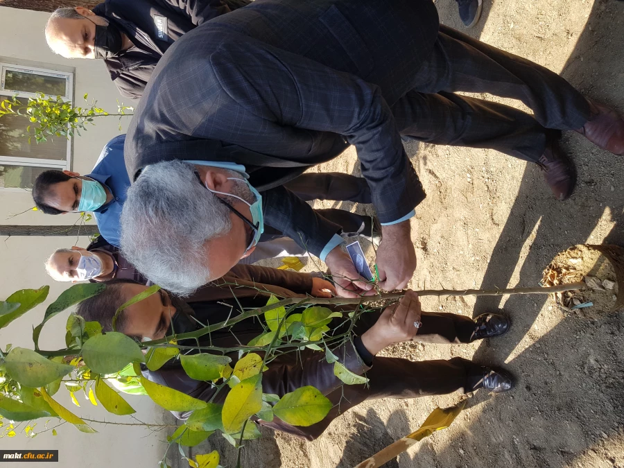 گزارش تصویری کاشت مراسم روز درختکاری09