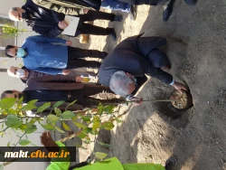 گزارش تصویری کاشت مراسم روز درختکاری10