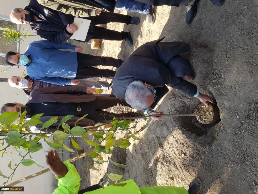 گزارش تصویری کاشت مراسم روز درختکاری10