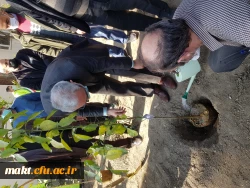 گزارش تصویری کاشت مراسم روز درختکاری11