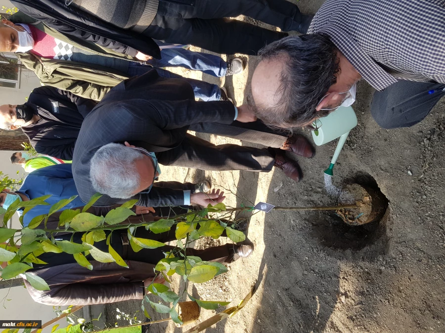 گزارش تصویری کاشت مراسم روز درختکاری11