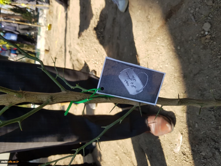 گزارش تصویری کاشت مراسم روز درختکاری12