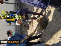 گزارش تصویری کاشت مراسم روز درختکاری13