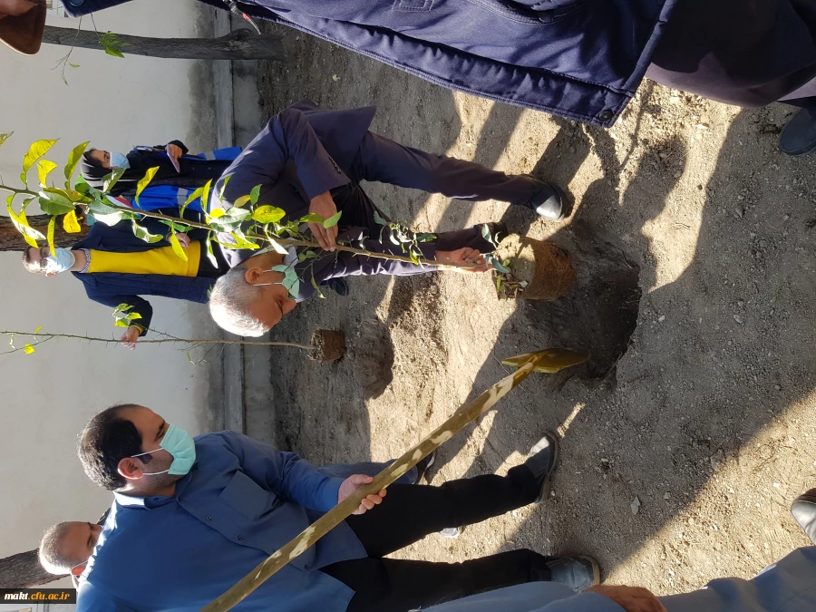 گزارش تصویری کاشت مراسم روز درختکاری13