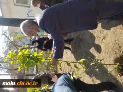 گزارش تصویری کاشت مراسم روز درختکاری15