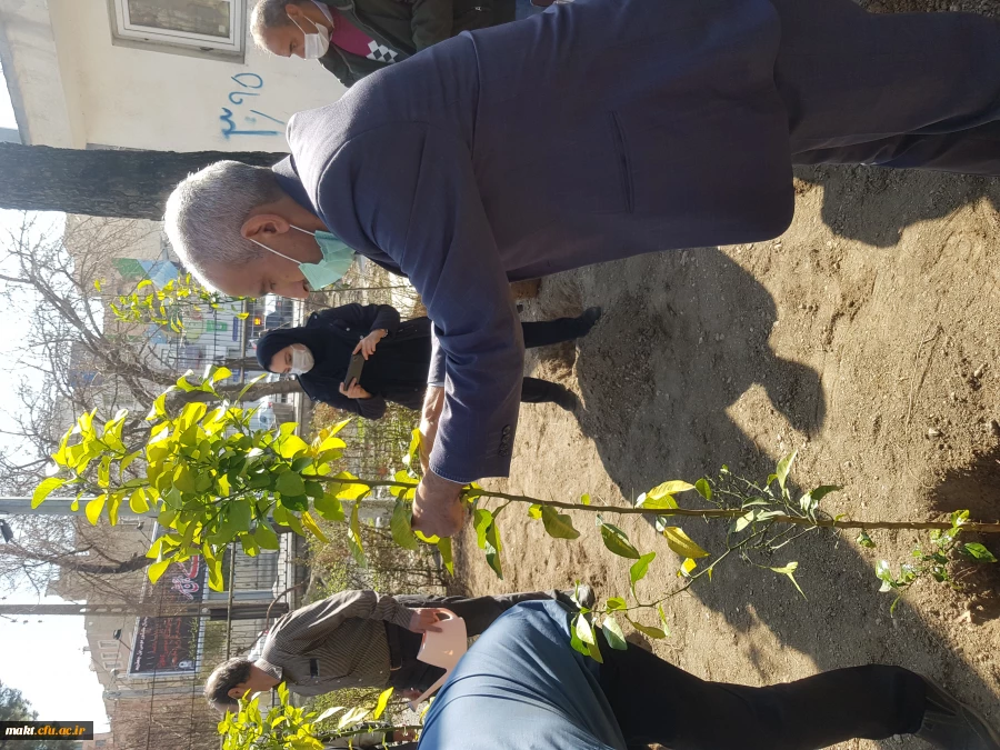 گزارش تصویری کاشت مراسم روز درختکاری15