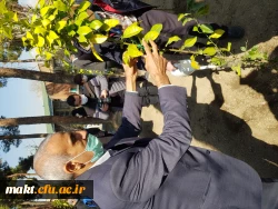 گزارش تصویری کاشت مراسم روز درختکاری16