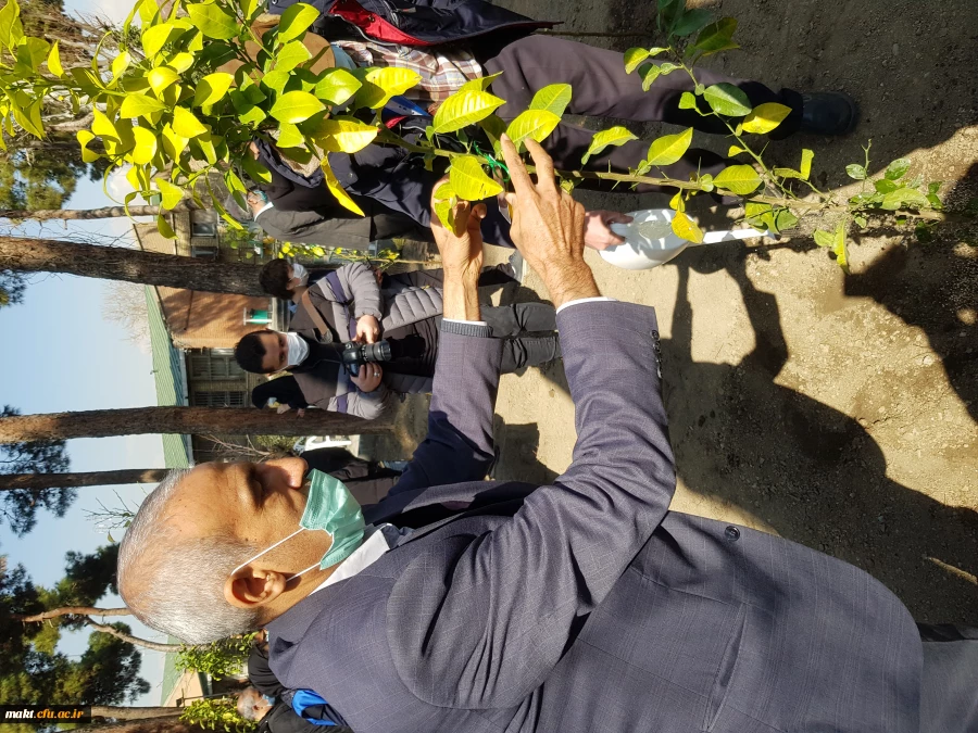 گزارش تصویری کاشت مراسم روز درختکاری16