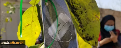 گزارش تصویری کاشت مراسم روز درختکاری