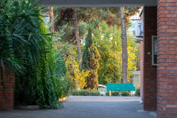 دربارۀ مرکز 6