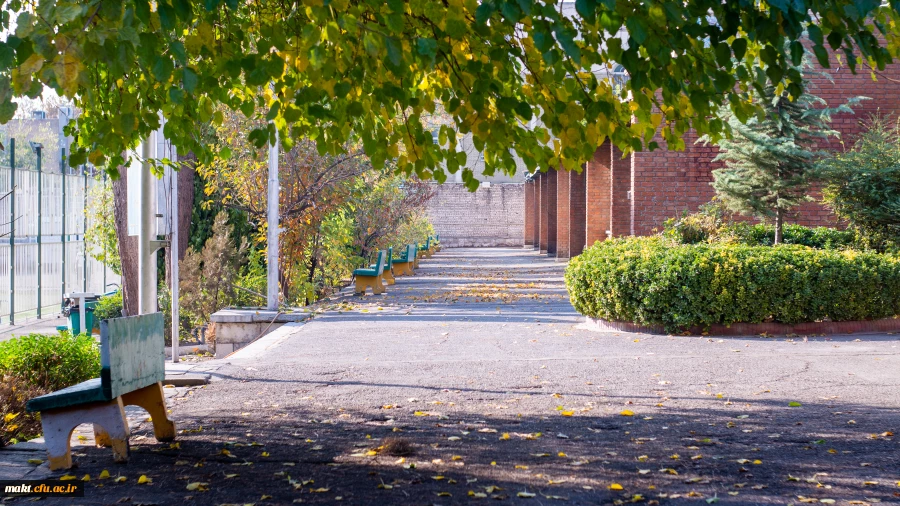 دربارۀ مرکز 11