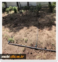 اجرای طرح نوین آبیاری و کاشت گل برای زیباسازی محوطه مرکزآموزش عالی شهدای مکه 4