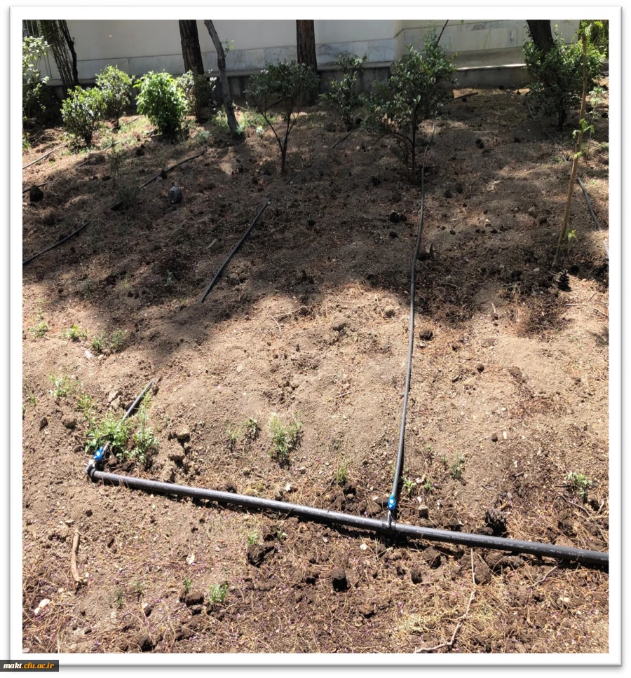 اجرای طرح نوین آبیاری و کاشت گل برای زیباسازی محوطه مرکزآموزش عالی شهدای مکه 4