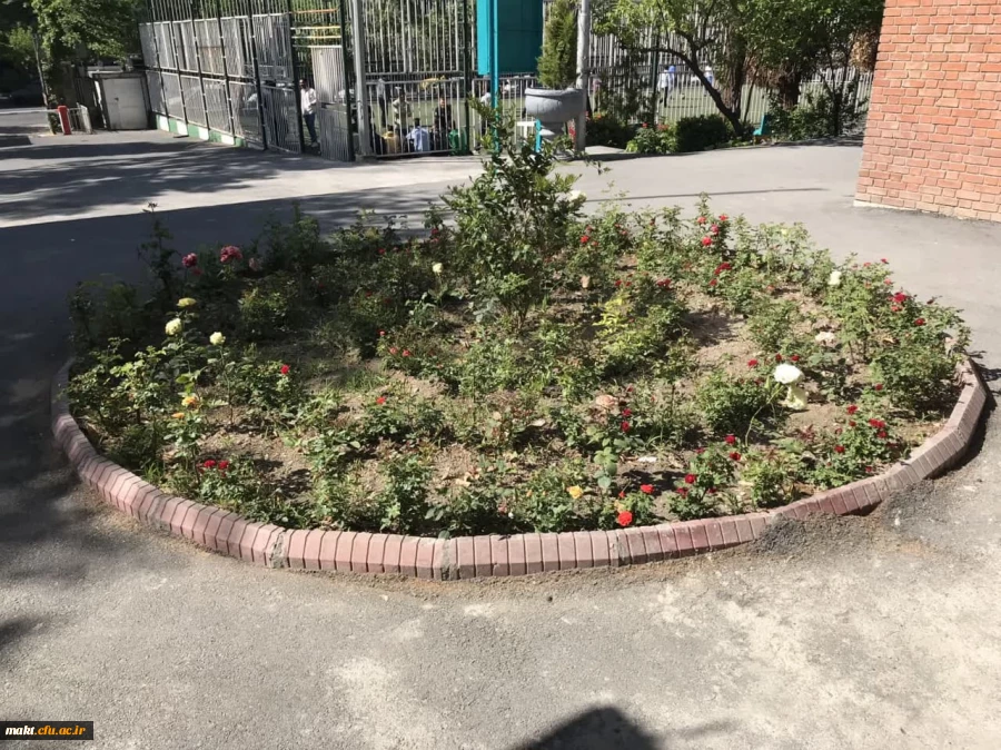 اجرای طرح نوین آبیاری و کاشت گل برای زیباسازی محوطه مرکزآموزش عالی شهدای مکه 5