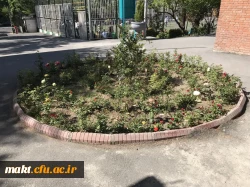 اجرای طرح نوین آبیاری و کاشت گل برای زیباسازی محوطه مرکزآموزش عالی شهدای مکه 3