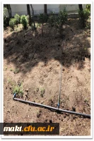 اجرای طرح نوین آبیاری و کاشت گل برای زیباسازی محوطه مرکزآموزش عالی شهدای مکه 5