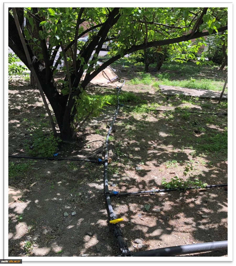 اجرای طرح نوین آبیاری و کاشت گل برای زیباسازی محوطه مرکزآموزش عالی شهدای مکه 7