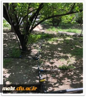 اجرای طرح نوین آبیاری و کاشت گل برای زیباسازی محوطه مرکزآموزش عالی شهدای مکه 3